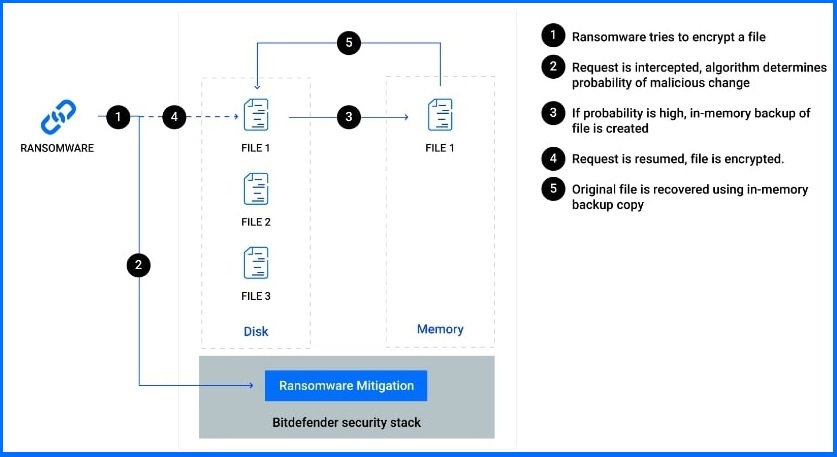 Ransomware Mitigation